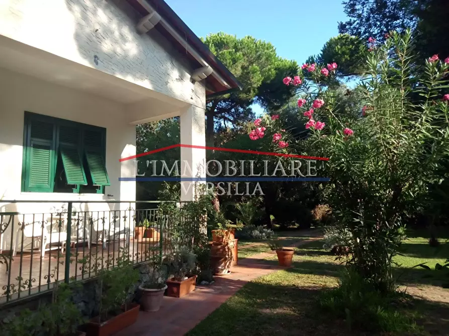 Immagine 18 di Villa in vendita  a Massa
