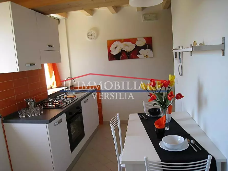 Immagine 23 di Casa semindipendente in vendita  a Massa