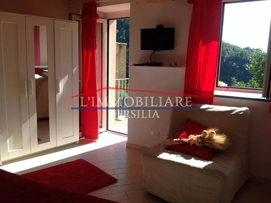 Immagine 17 di Casa semindipendente in vendita  a Massa