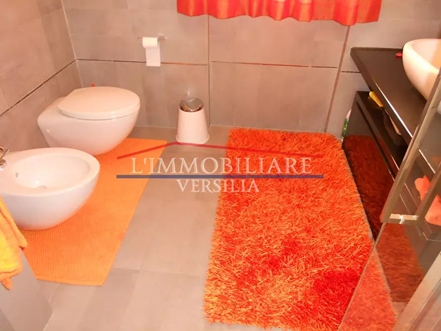 Immagine 24 di Appartamento in vendita  a Massa