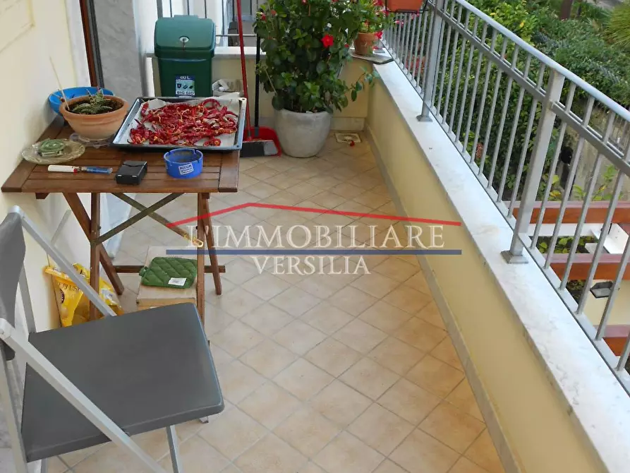 Immagine 11 di Appartamento in vendita  a Massa