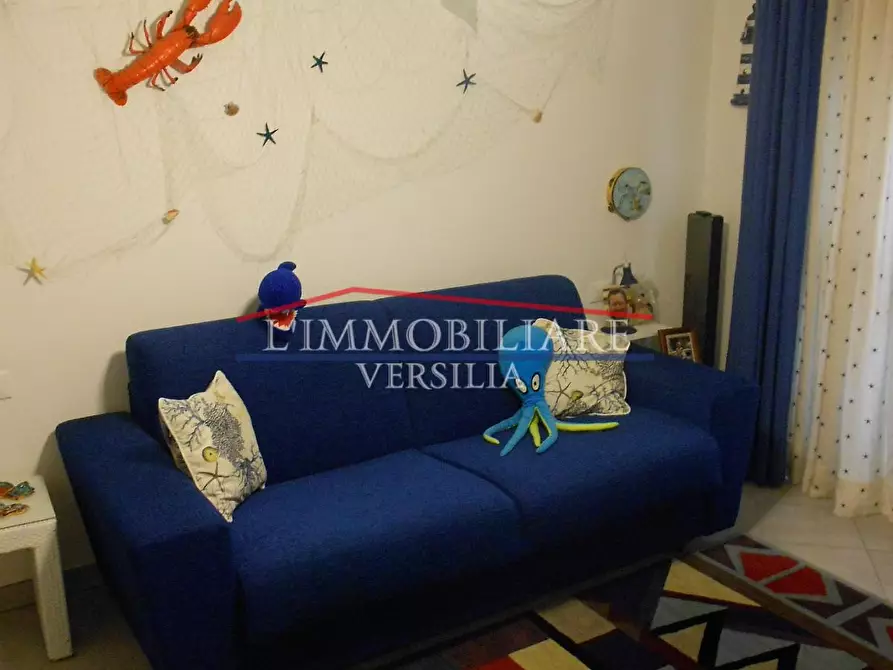 Immagine 15 di Appartamento in vendita  a Massa