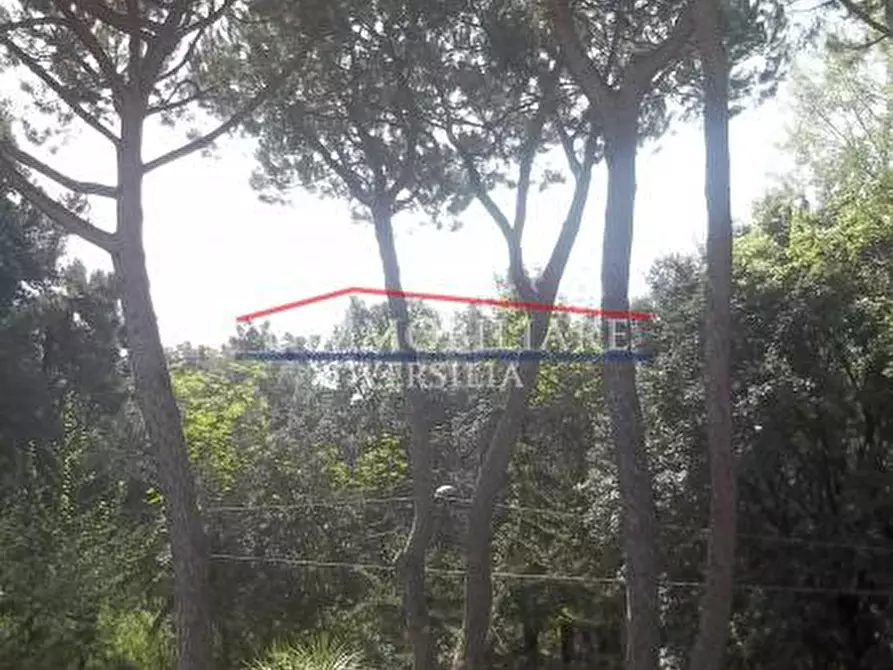 Immagine 21 di Porzione di casa in vendita  a Massa