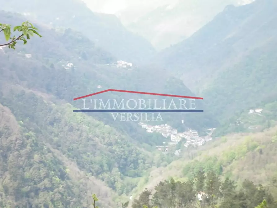 Immagine 15 di Locale commerciale in vendita  a Massa