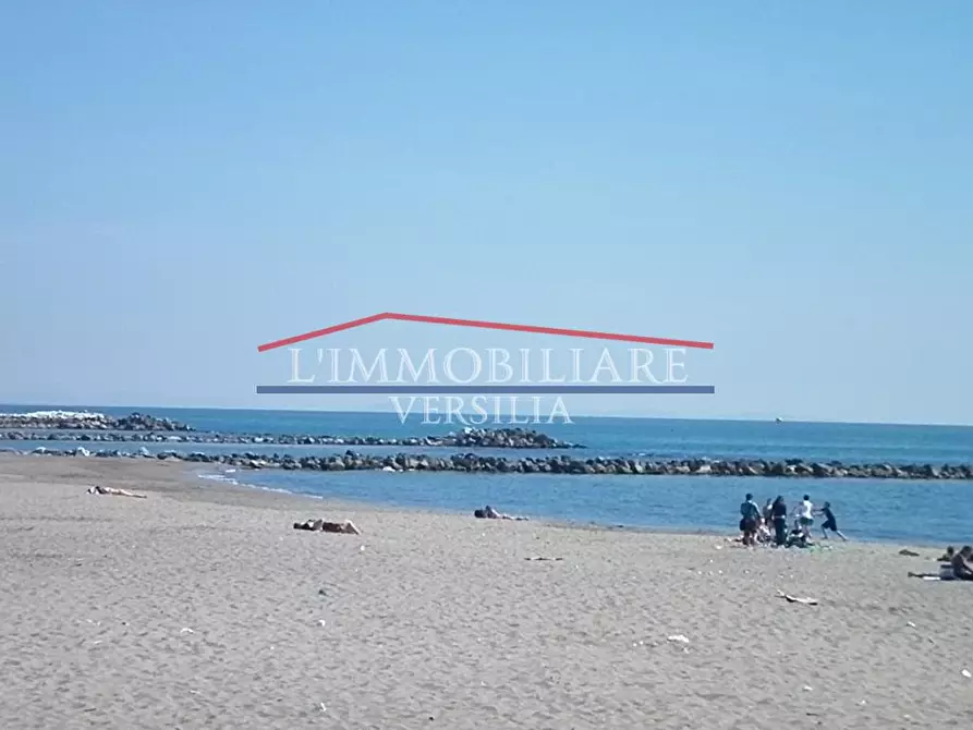 Immagine 7 di Locale commerciale in vendita  a Massa