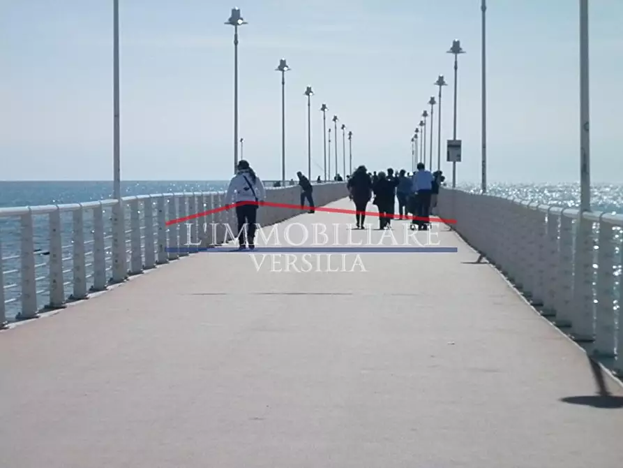 Immagine 11 di Locale commerciale in vendita  a Massa