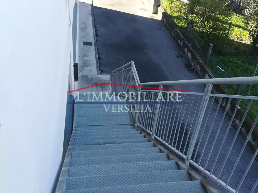 Immagine 8 di Capannone industriale in vendita  a Massa