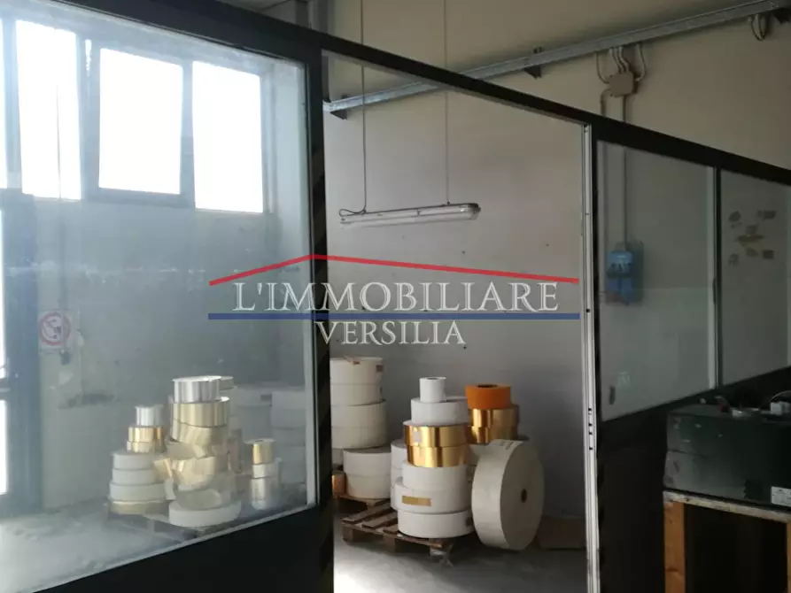 Immagine 2 di Capannone industriale in vendita  a Massa