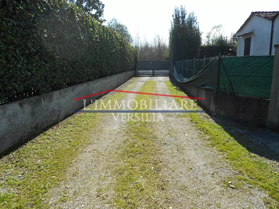 Immagine 19 di Capannone industriale in vendita  a Seravezza