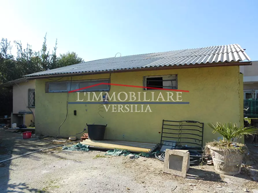 Immagine 5 di Capannone industriale in vendita  a Seravezza