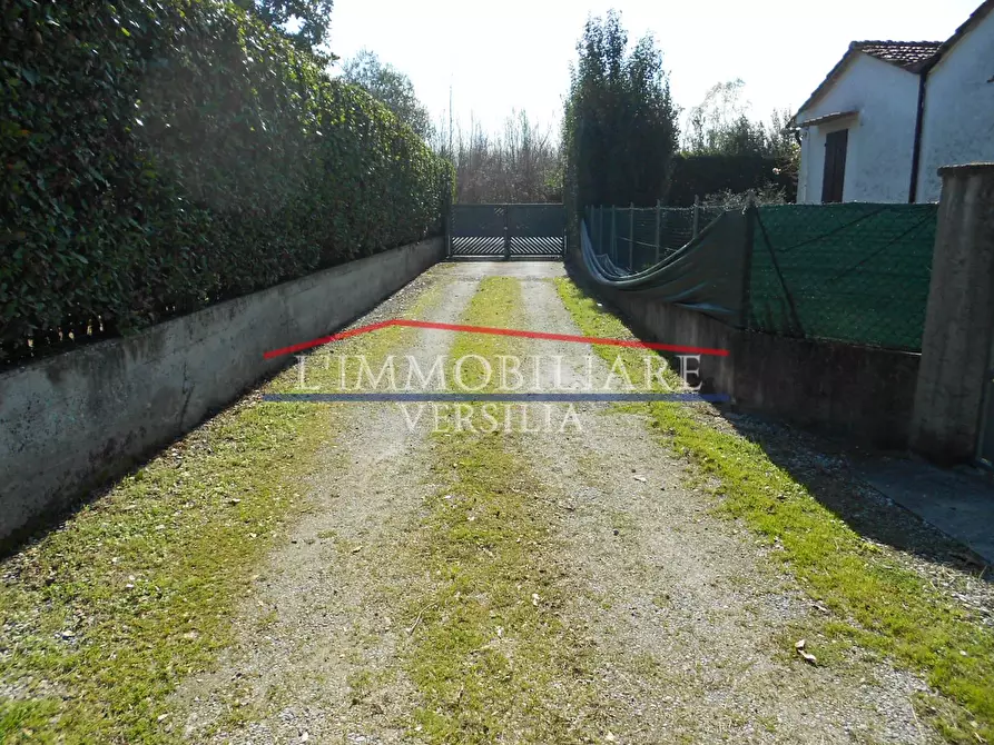 Immagine 2 di Capannone industriale in vendita  a Seravezza