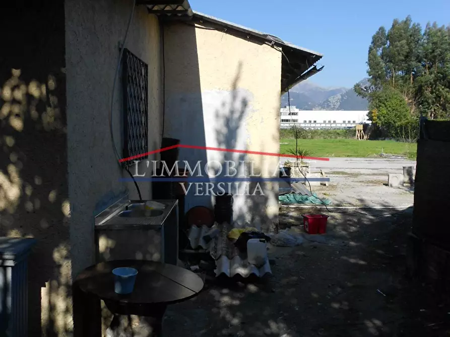 Immagine 11 di Capannone industriale in vendita  a Seravezza