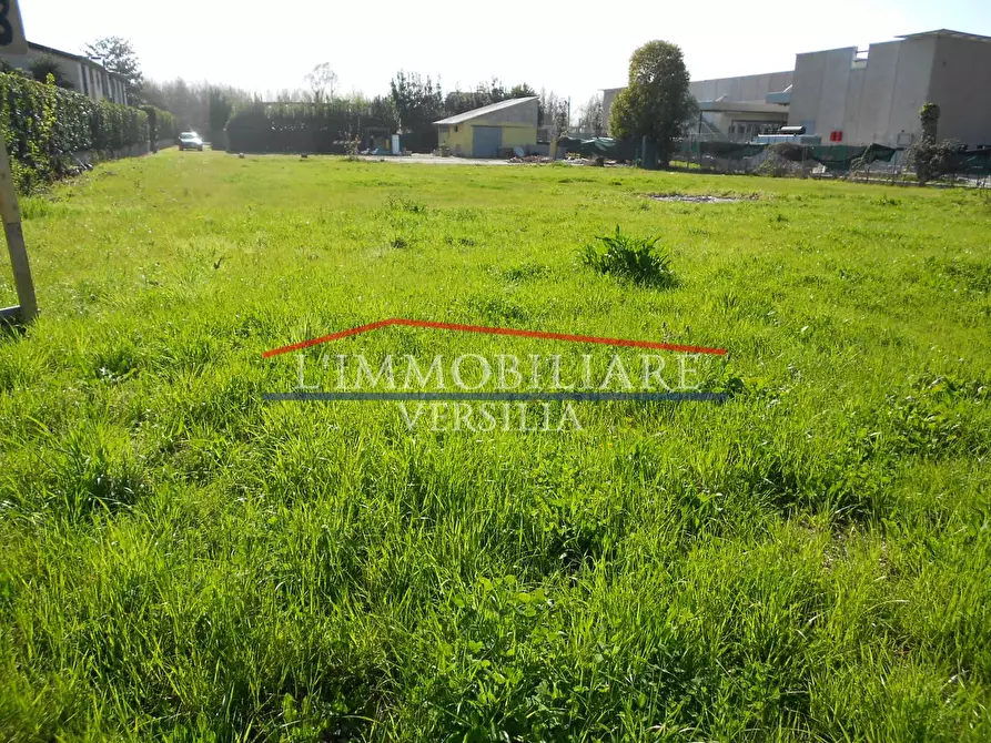 Immagine 1 di Capannone industriale in vendita  a Seravezza