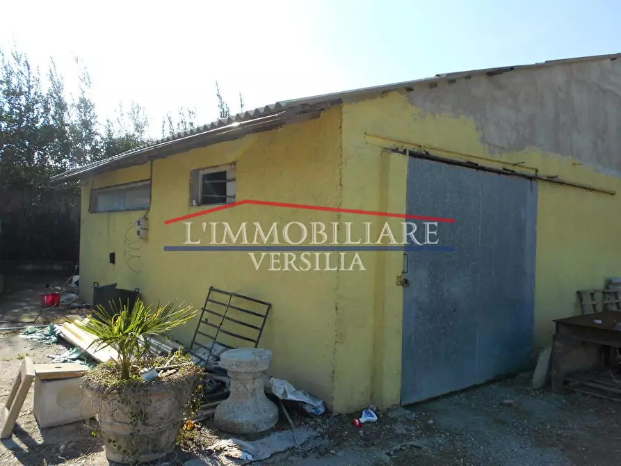 Immagine 6 di Capannone industriale in vendita  a Seravezza