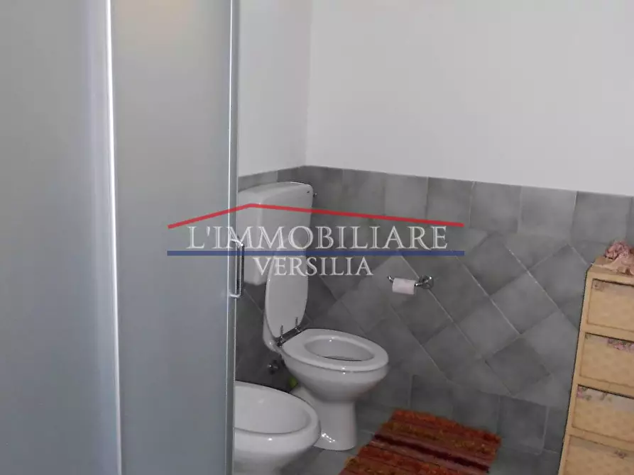 Immagine 39 di Villa in vendita  a Seravezza