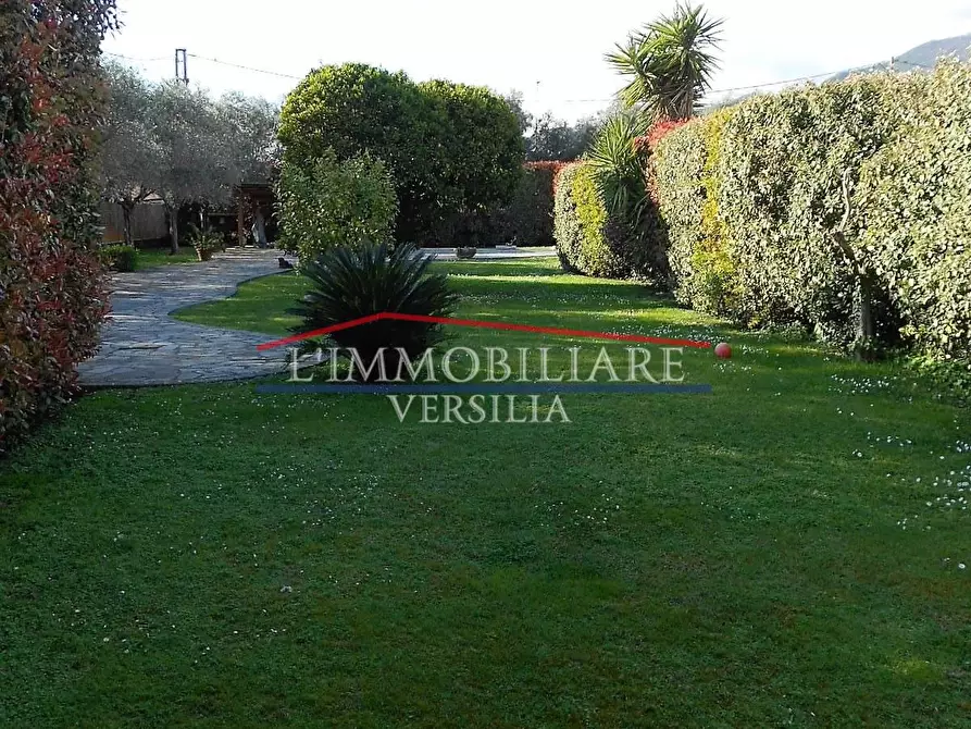 Immagine 5 di Villa in vendita  a Seravezza