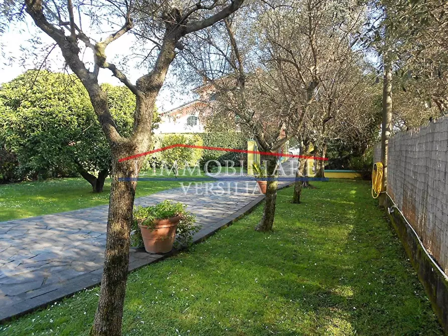 Immagine 4 di Villa in vendita  a Seravezza