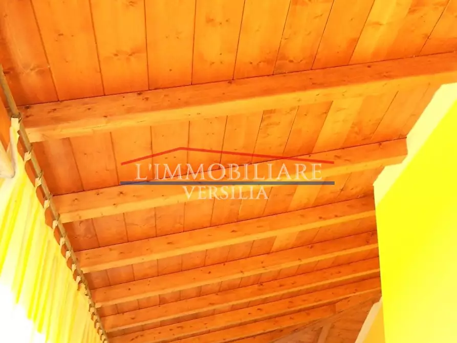 Immagine 45 di Villa in vendita  a Seravezza