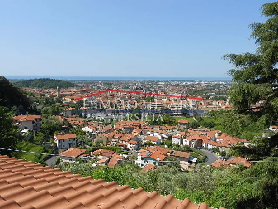 Immagine 2 di Villa in vendita  a Massa