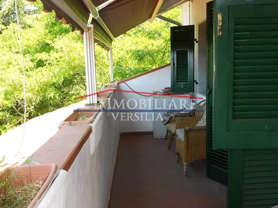 Immagine 71 di Villa in vendita  a Massa