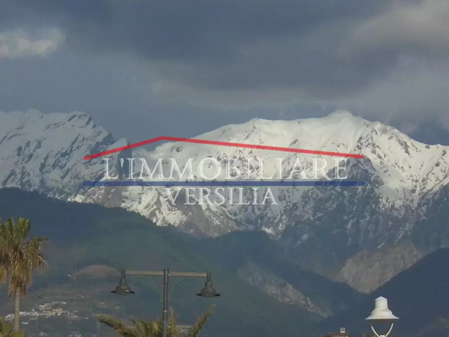 Immagine 34 di Seminterrato in vendita  a Carrara