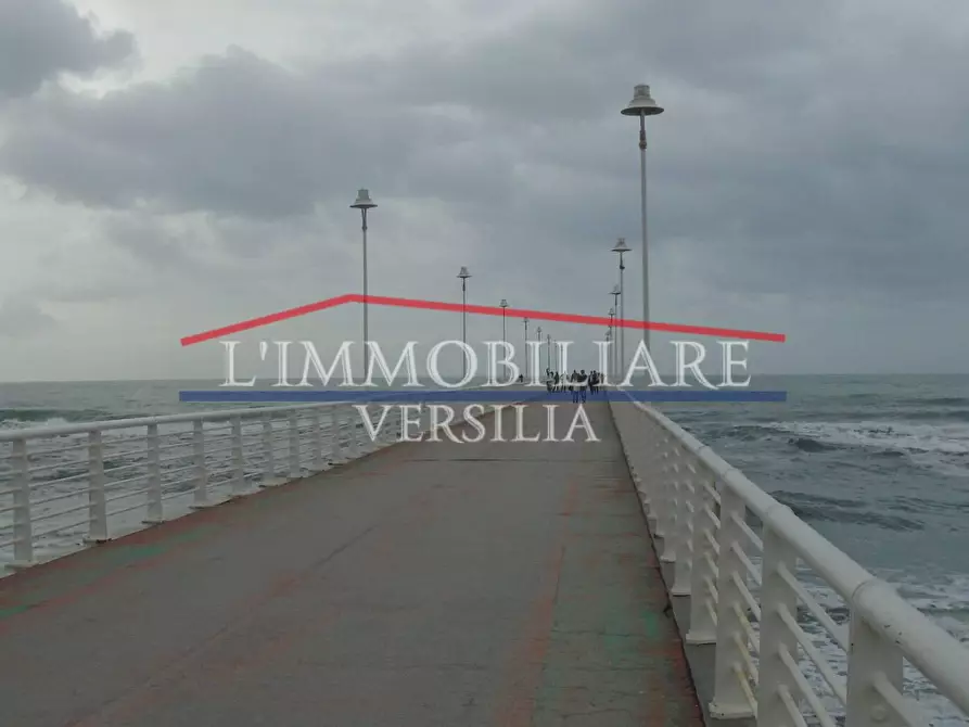 Immagine 22 di Seminterrato in vendita  a Carrara