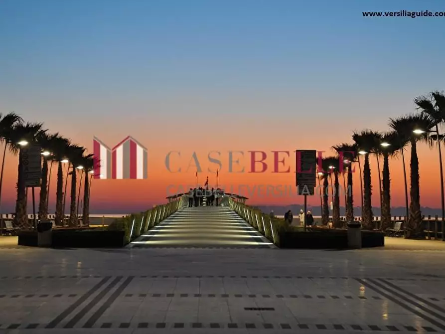 Immagine 2 di Attività commerciale in vendita  a Camaiore