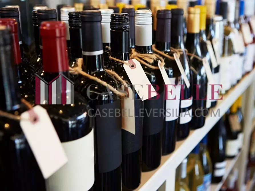 Immagine 1 di Attività commerciale in vendita  a Seravezza