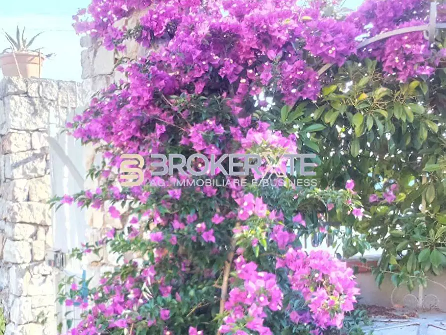 Immagine 31 di Villa in vendita  a Castelnuovo Magra
