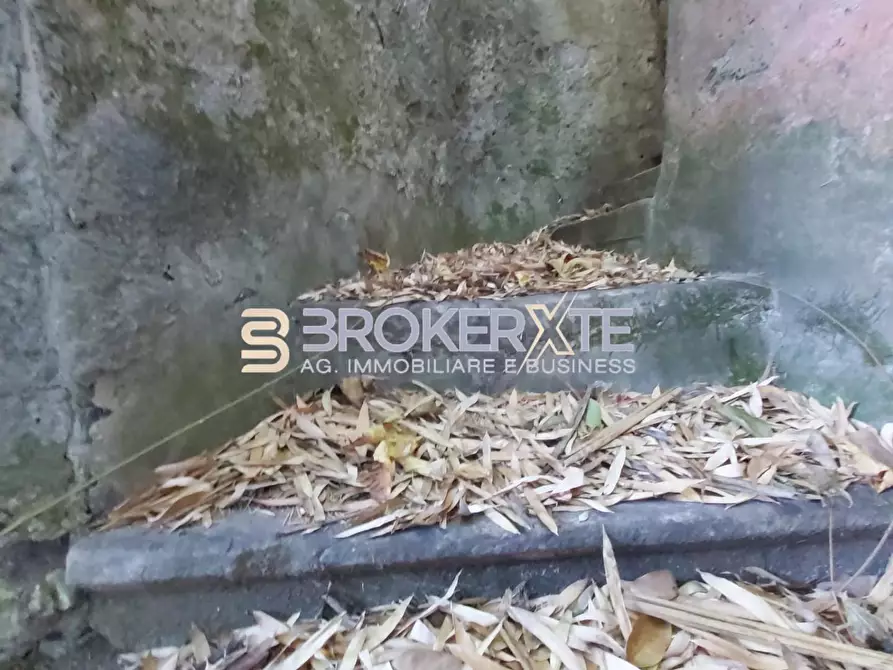 Immagine 19 di Casa semindipendente in vendita  a Carrara