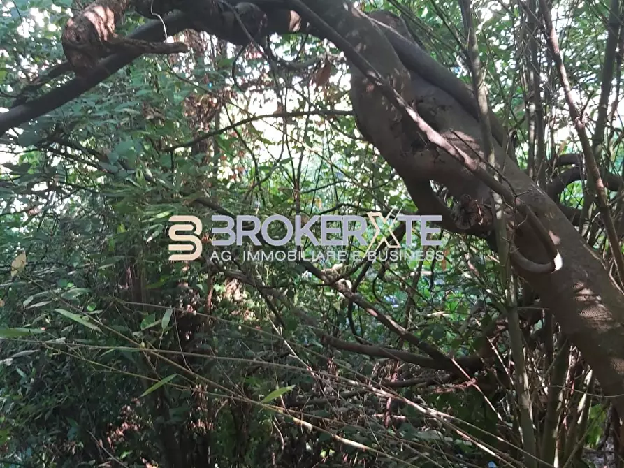 Immagine 1 di Casa semindipendente in vendita  a Carrara