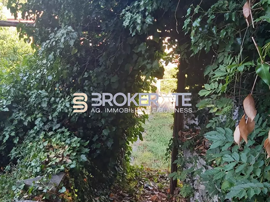Immagine 3 di Casa semindipendente in vendita  a Carrara