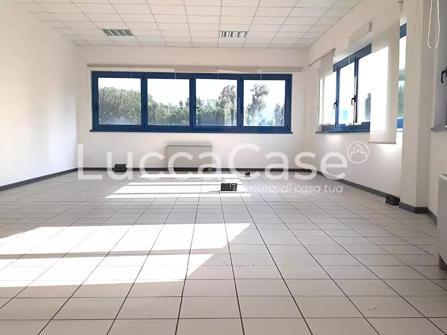Immagine 7 di Ufficio in affitto  a Lucca