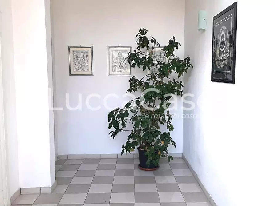 Immagine 2 di Ufficio in affitto  a Lucca