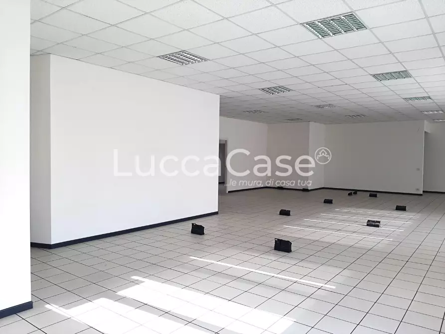 Immagine 6 di Ufficio in affitto  a Lucca