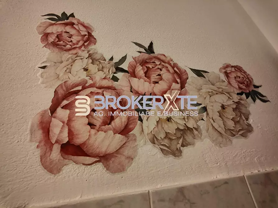 Immagine 13 di Appartamento in affitto  a Carrara