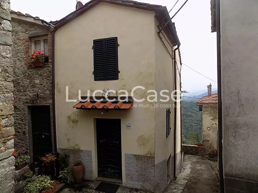 Immagine 3 di Terratetto in vendita  a Pescaglia