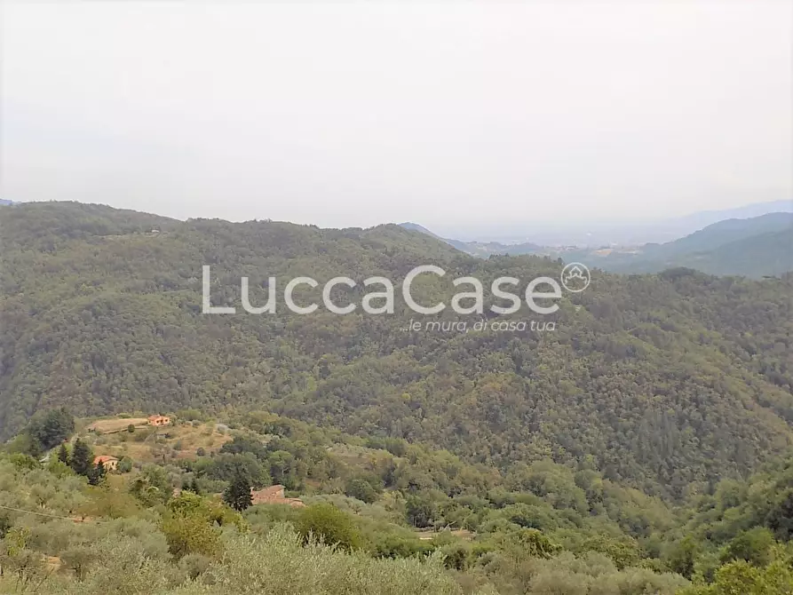 Immagine 4 di Terratetto in vendita  a Pescaglia