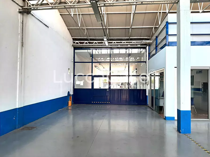 Immagine 3 di Attività artigianale in affitto  a Lucca