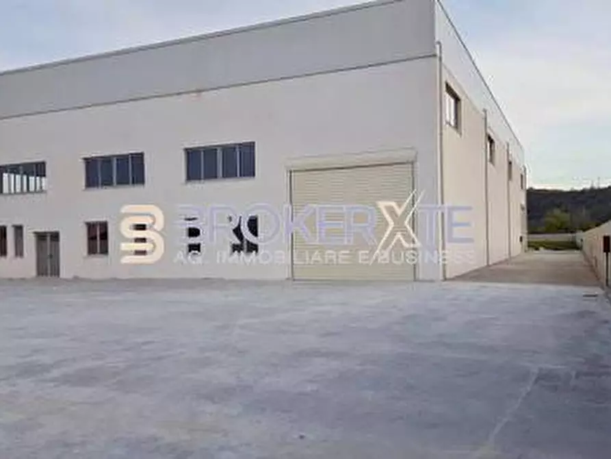 Immagine 1 di Capannone industriale in affitto  a Carrara