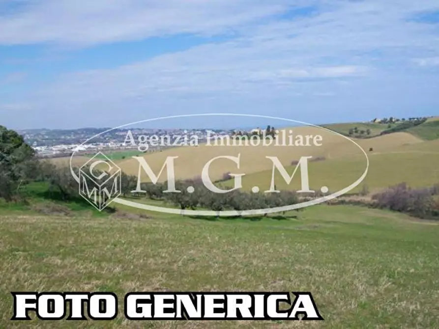 Immagine 1 di Terreno agricolo in vendita  a Santa Maria A Monte