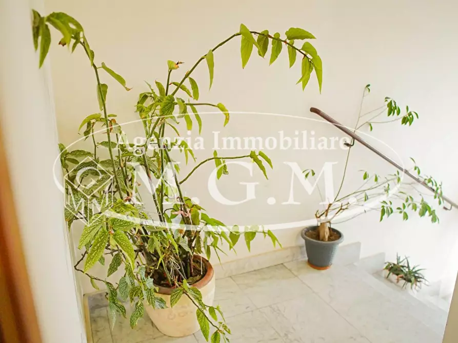 Immagine 36 di Appartamento in vendita  a Pontedera