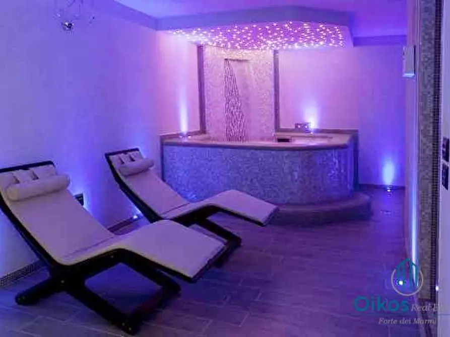 Immagine 16 di Villa in affitto  a Forte Dei Marmi