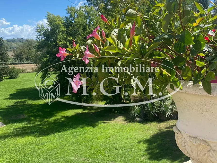 Immagine 26 di Villa in vendita  a Casciana Terme Lari