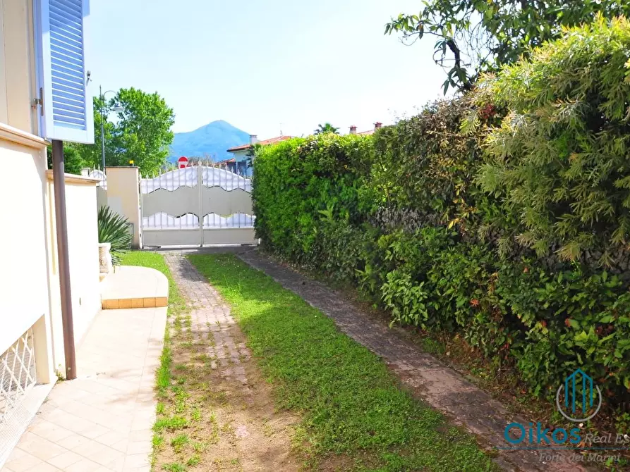 Immagine 9 di Villa in vendita  a Pietrasanta