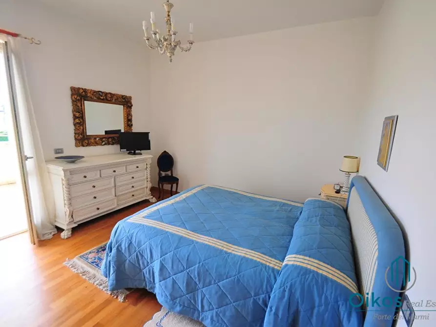 Immagine 32 di Villa in vendita  a Pietrasanta