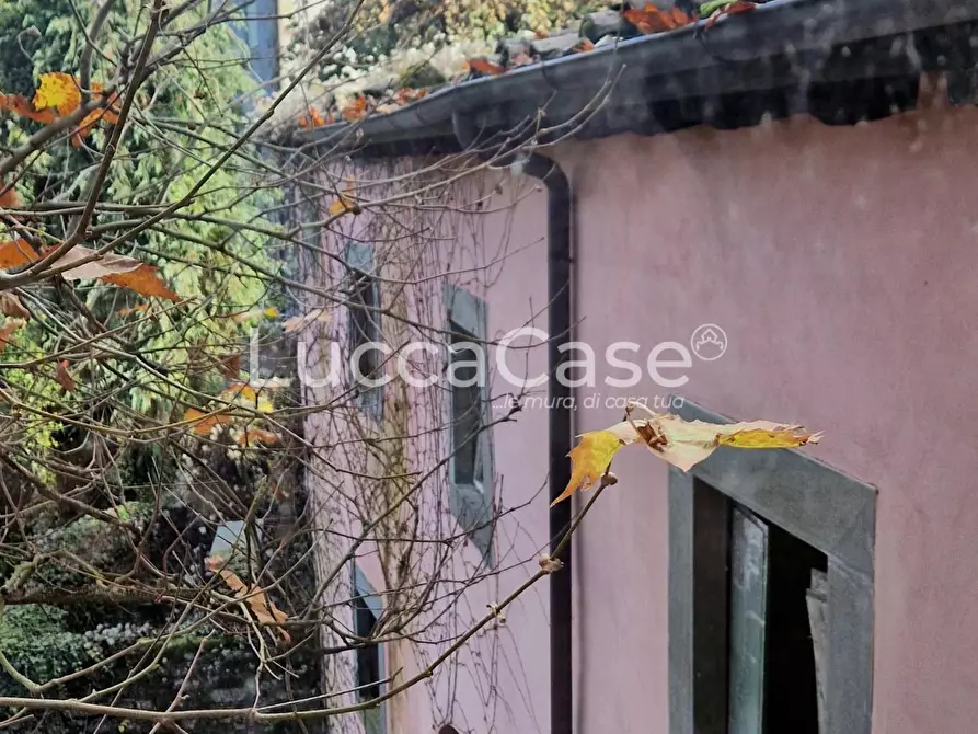 Immagine 33 di Villa in vendita  a Coreglia Antelminelli