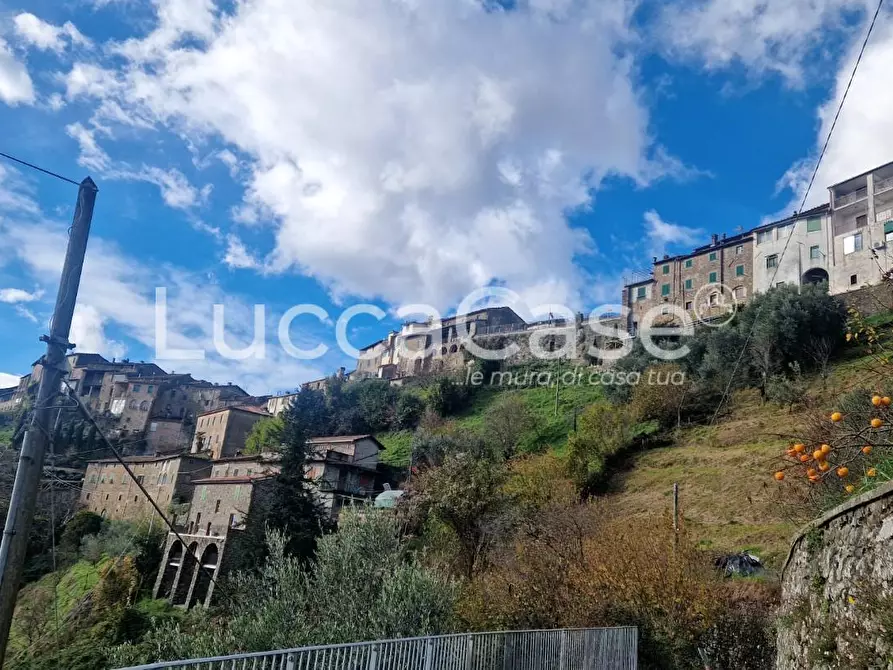 Immagine 39 di Villa in vendita  a Coreglia Antelminelli