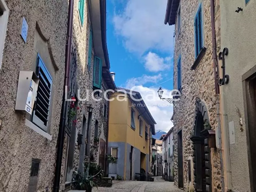 Immagine 38 di Villa in vendita  a Coreglia Antelminelli