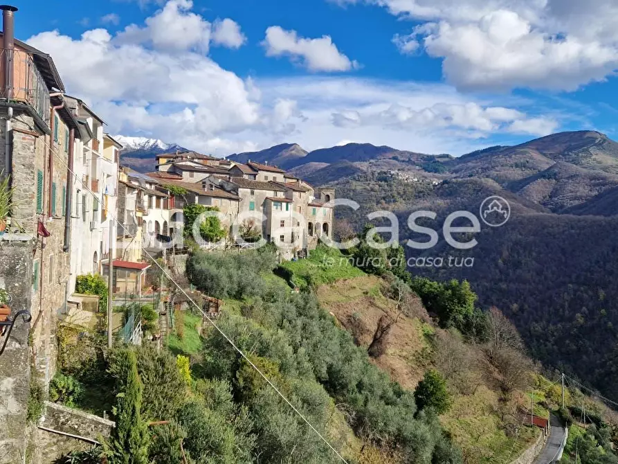 Immagine 36 di Villa in vendita  a Coreglia Antelminelli